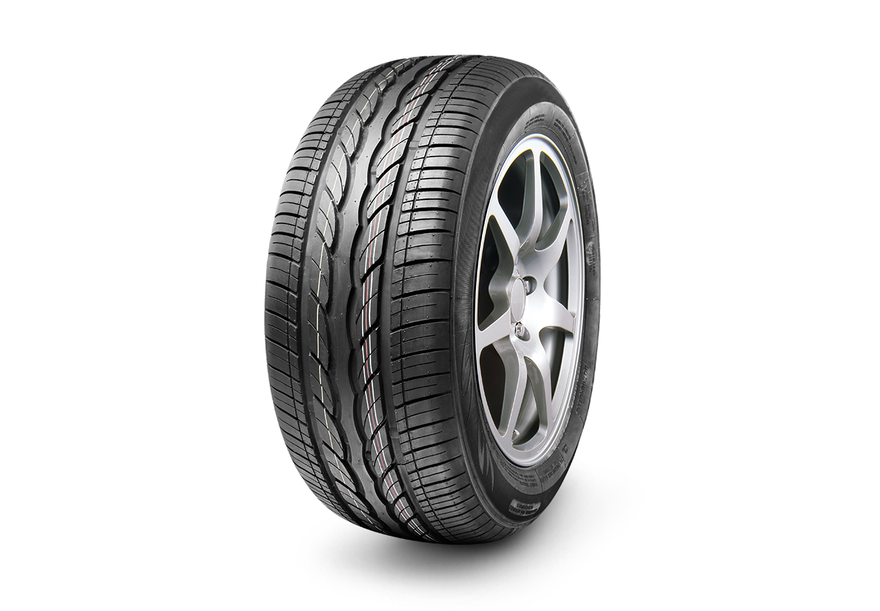 LION SPORT HP