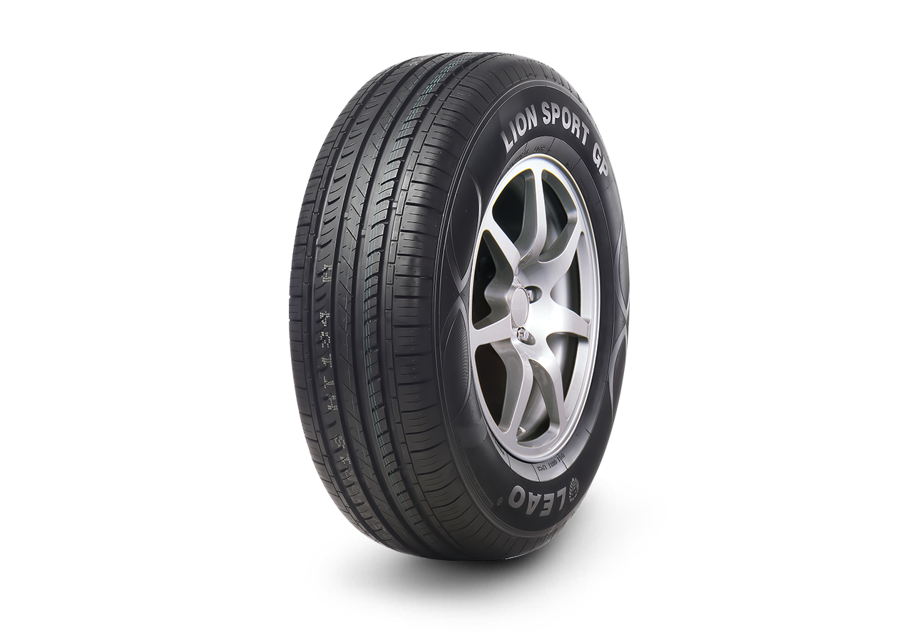 LION SPORT GP