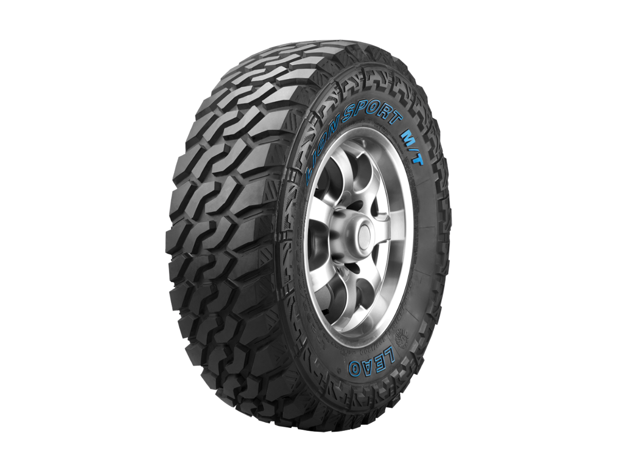 Lion Sport MT